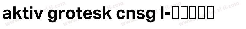 aktiv grotesk cnsg l字体转换
